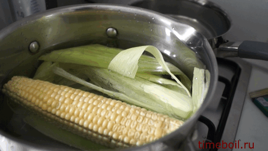 éplucher le maïs