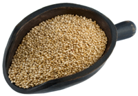 Comment faire cuire le quinoa