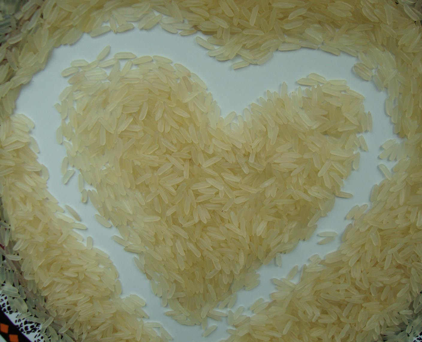 kolik vařit rýži