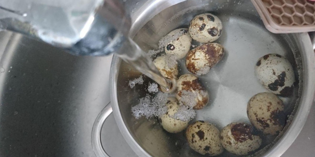 verser de l'eau froide sur les œufs de caille chauds