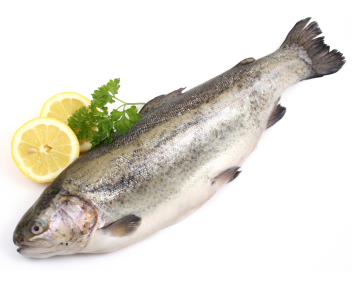 hoeveel forel te koken