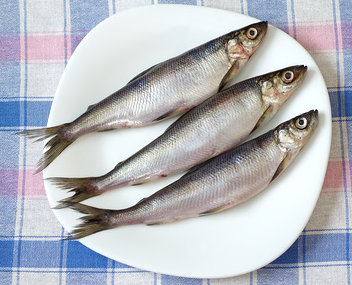 hoeveel vendace te koken