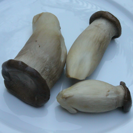 vařené houby eringi
