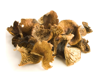 dried mushrooms