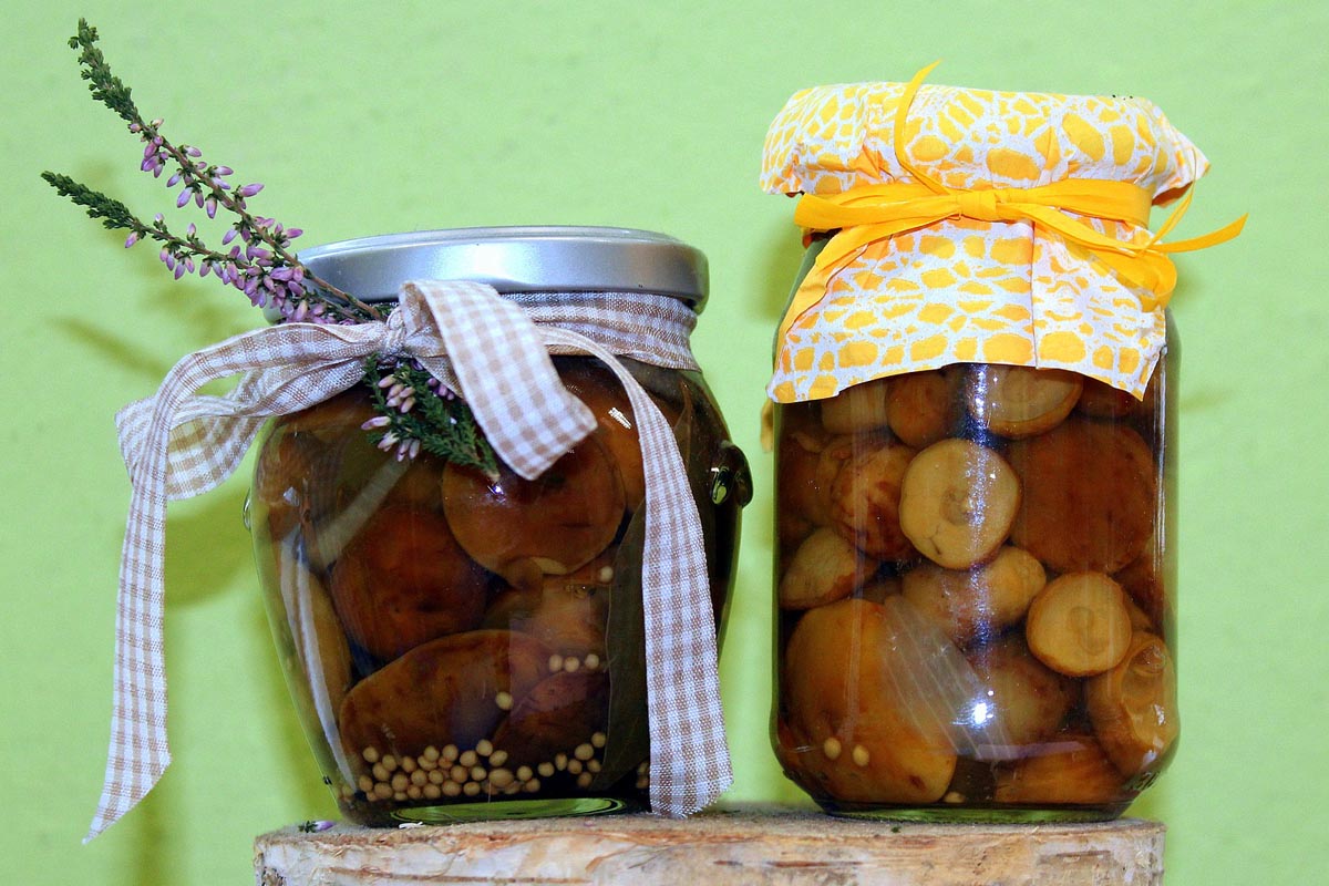 fresh forest and peeled boletus