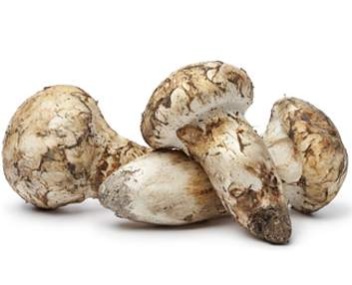 matsutake