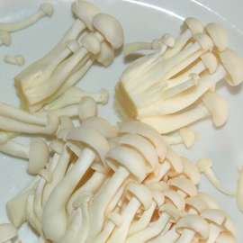 nasekejte houby shimiji