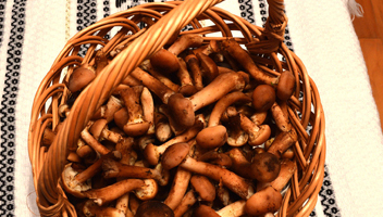 clean mushrooms before frying