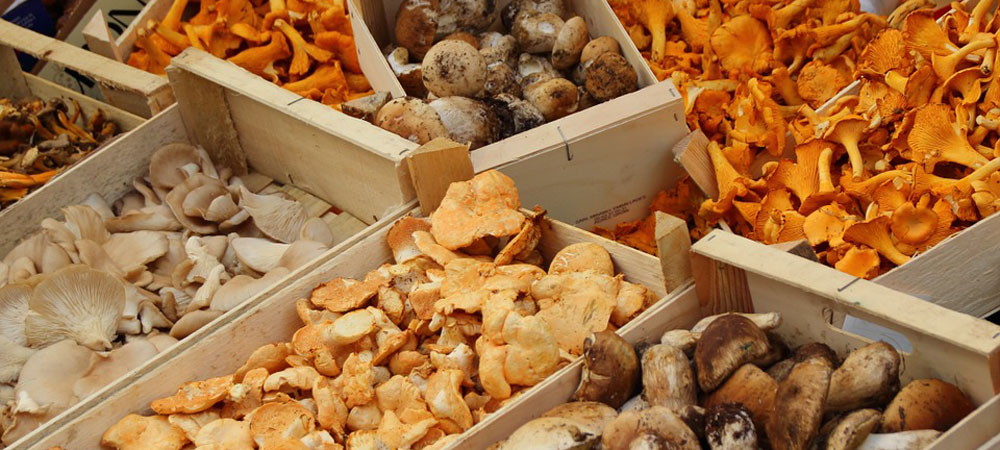 champignons au miel