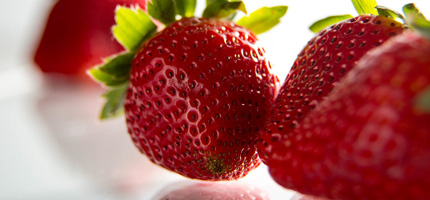 strawberry with multi-roots