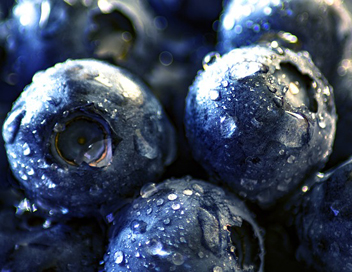 wash blueberries