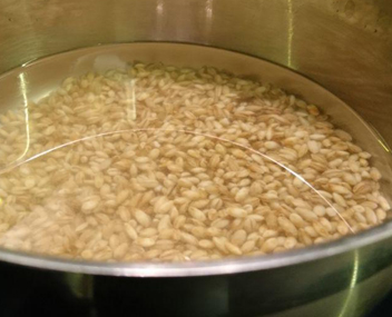 broth of barley