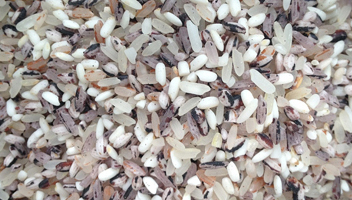 choosing the healthiest rice