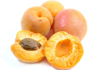 how to grow an apricot