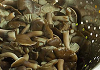 champignons au miel