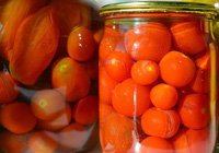 how to quickly pickle tomatoes