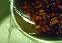 vypusťte fazole