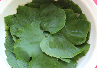 How to salt grape leaves