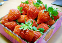 fraises importées