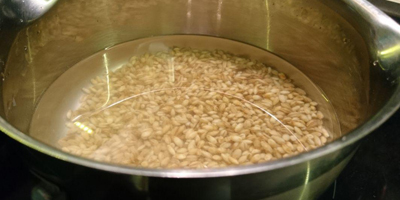 pearl barley