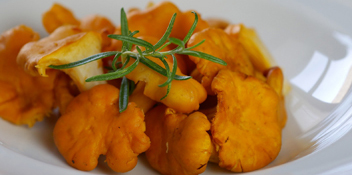 are chanterelles suitable for soups