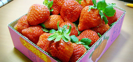 imported strawberries