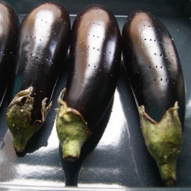 chopped eggplant