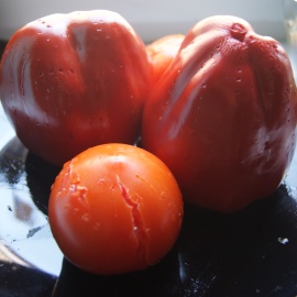 rajčata a papriky pečené v troubě