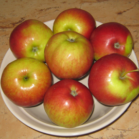 appels voor jam