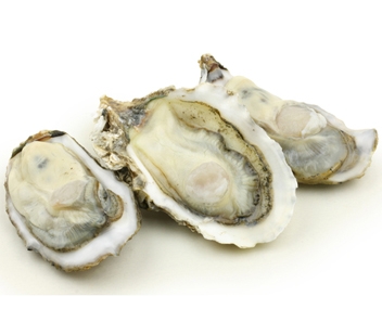 hoeveel oesters koken