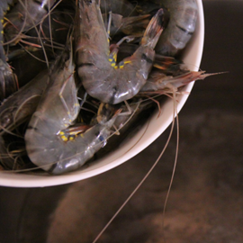 comment faire cuire mettre les crevettes tigrées dans l'eau