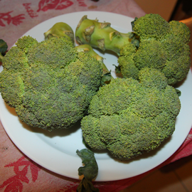 brocoli