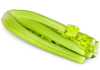 Nakládaný celer